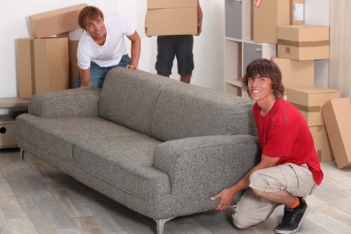 Bubble wrap, tape, and packing paper for safe packing