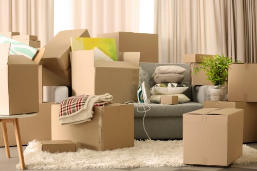 Removalists in Croydon delivering boxes and furniture to a new home